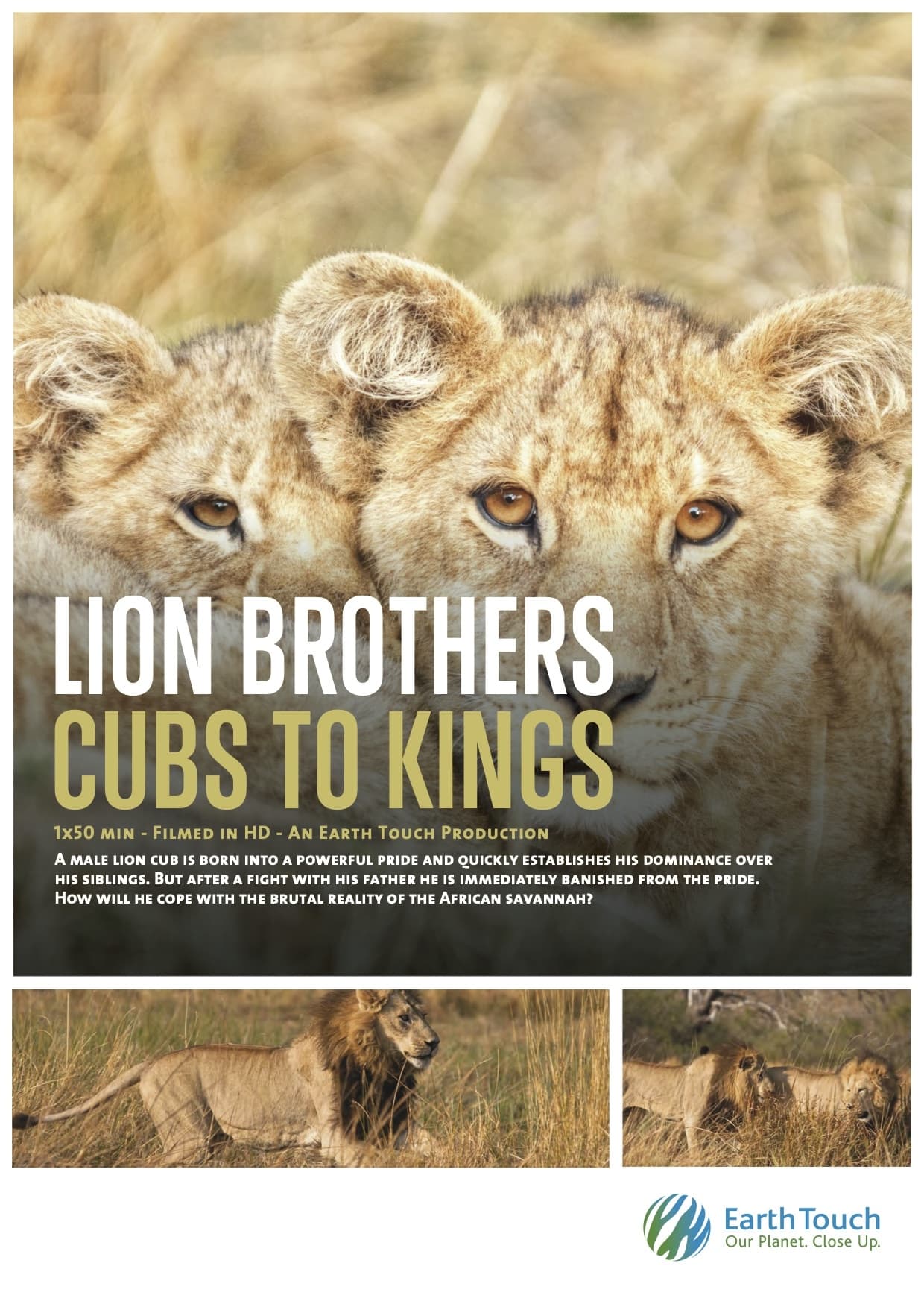 Постер Lion Brothers: Cubs to Kings